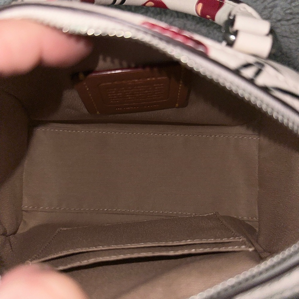 COACH Mini Rowan Crossbody with Top Handle Bag With Cherry Print - Picture 12 of 13